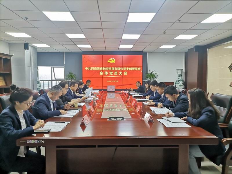 國鑫擔保黨支部順利完成換屆選舉工作