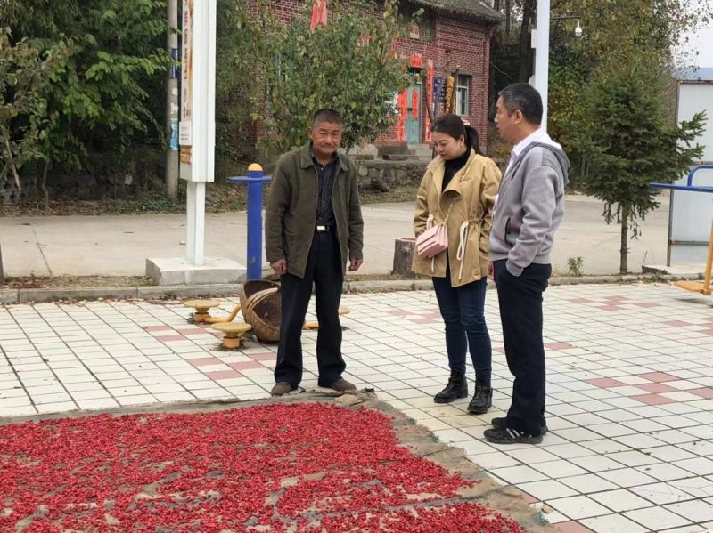 精準(zhǔn)扶貧在路上，到戶走訪暖人心