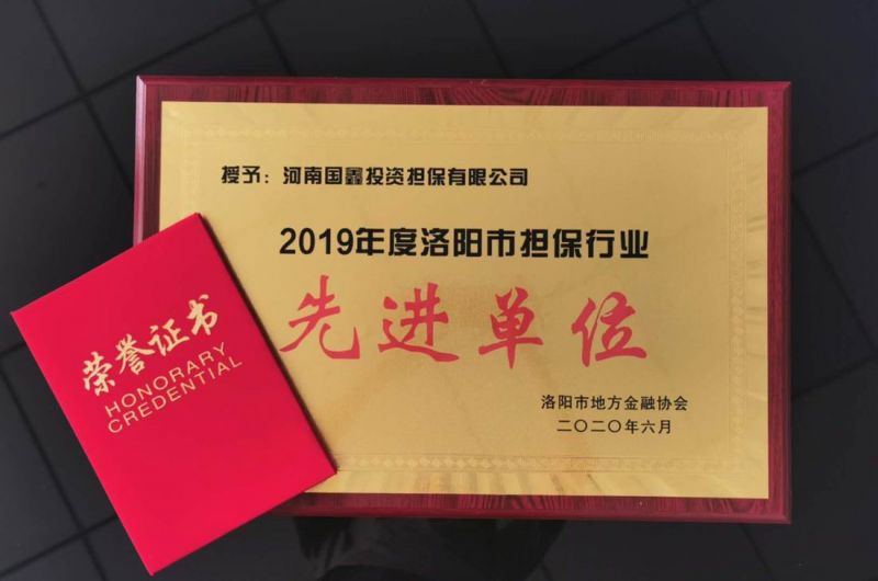 國鑫公司榮獲地方金融協(xié)會“2019年度洛陽市擔(dān)保行業(yè)先進單位” 