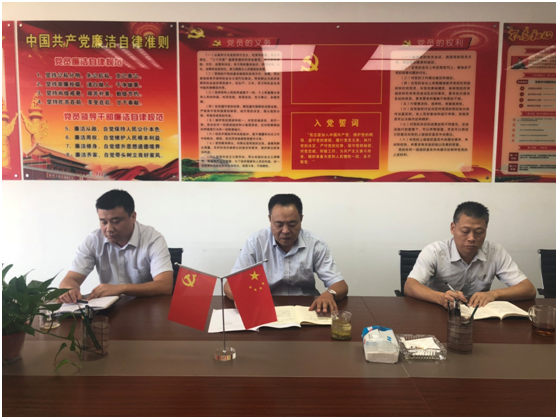 國鑫擔(dān)保黨支部開展“不忘初心、牢記使命---我該怎么做”主題黨日活動