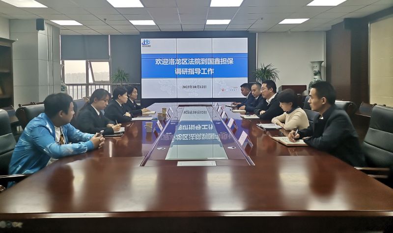 洛龍區(qū)人民法院到國鑫擔保調(diào)研