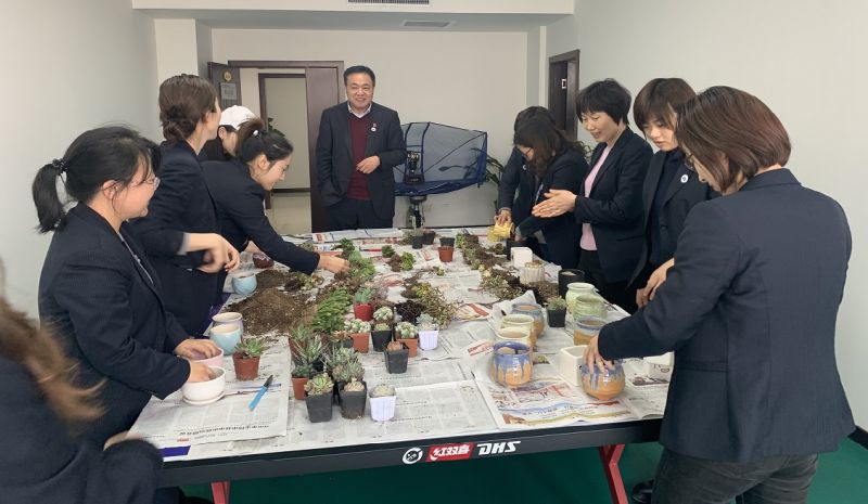 國鑫擔(dān)保工會(huì)舉辦 “三八”婦女節(jié)種植多肉植物活動(dòng)