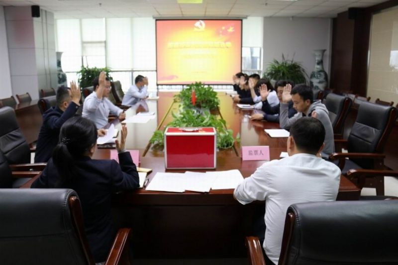 國鑫擔(dān)保黨支部順利完成換屆選舉工作