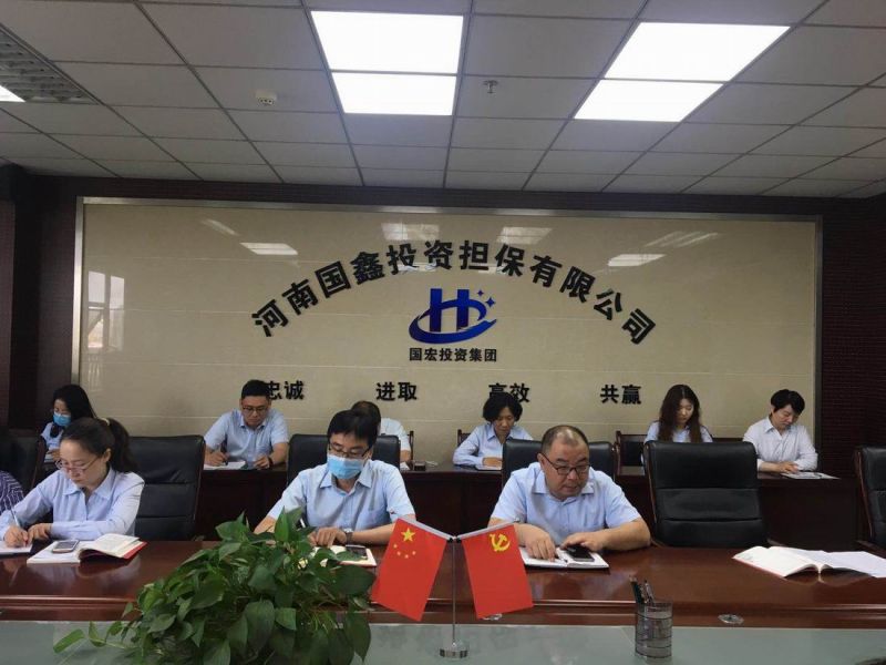 河南國鑫投資擔(dān)保有限公司 召開掃黑除惡專題宣傳會議