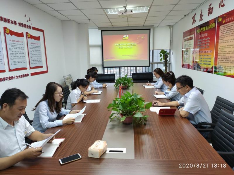 中共河南國鑫投資擔(dān)保有限公司支部委員會(huì) 開展專項(xiàng)以案促改組織生活會(huì)