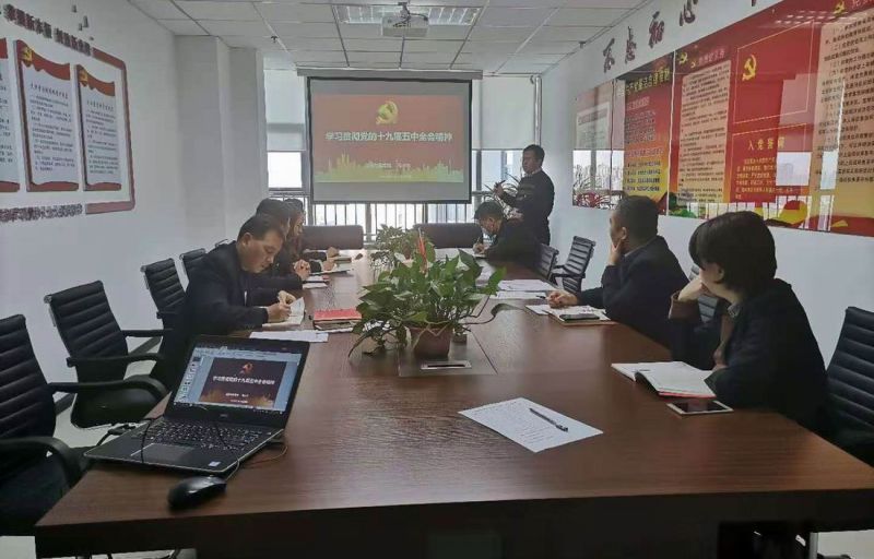 國鑫擔(dān)保黨支部開展“學(xué)習(xí)貫徹黨的十九屆五中全會(huì)精神”主題黨日活動(dòng)