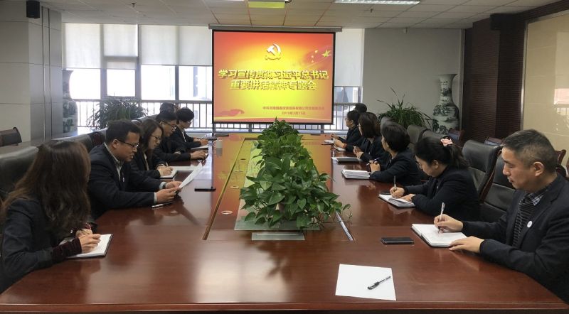 國鑫擔(dān)保公司組織“學(xué)習(xí)宣傳貫徹習(xí)近平總書記重要講話精神”活動(dòng)