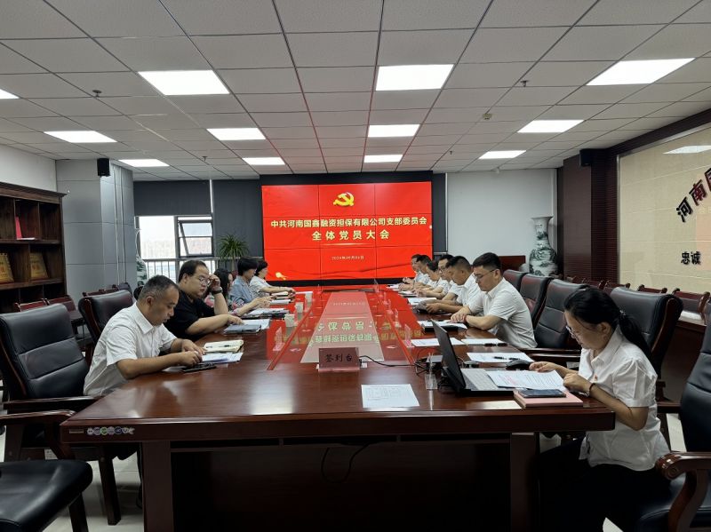 國鑫擔(dān)保黨支部順利完成委員補(bǔ)選工作
