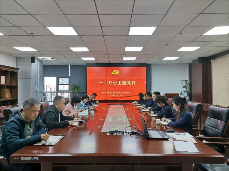 國鑫擔(dān)保黨支部召開11月份主題黨日活動(dòng)